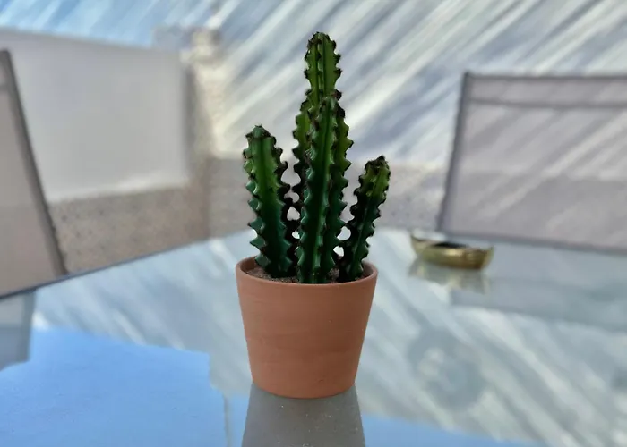 Tatil Evi Casa Lidia *