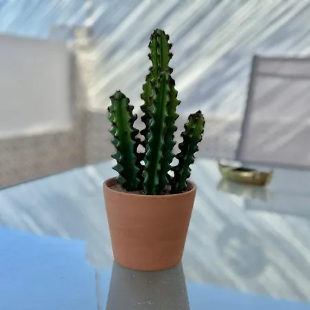 Semesterbostad Casa Lidia *